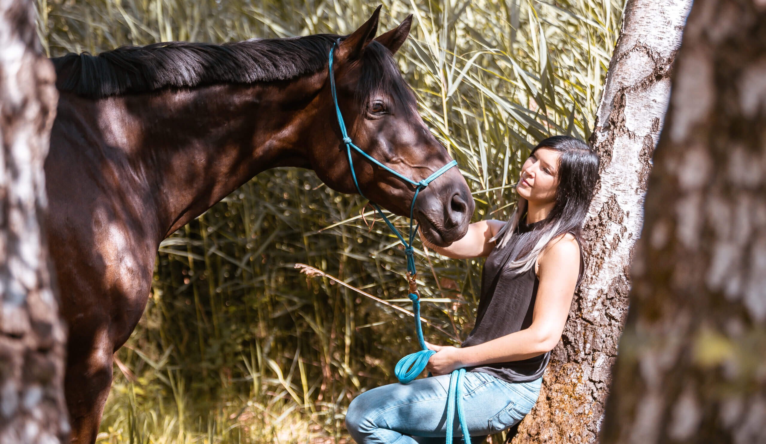 Human Design fuer Tiere