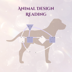 Animal Design Reading