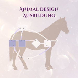 Animal Design Ausbildung