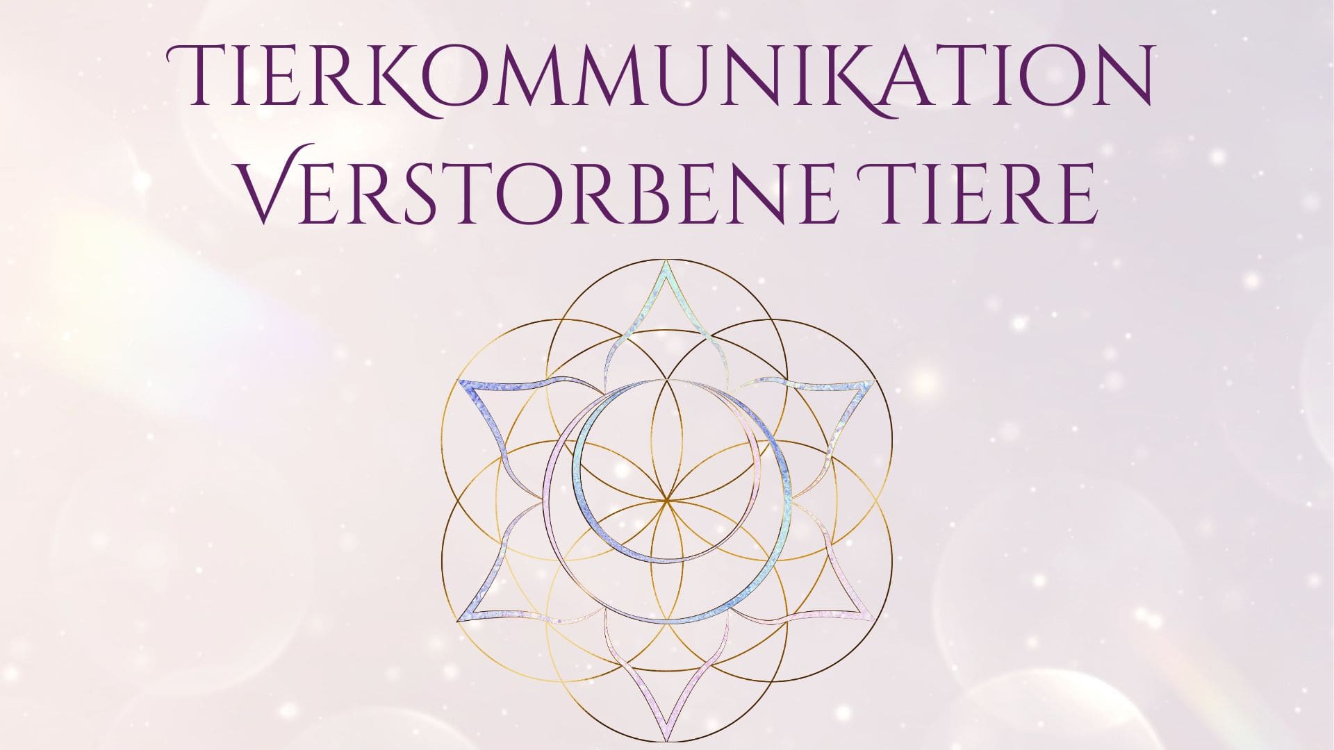 Angebote Healingtouch Tierkommunikation | Tierkommunikation und Energiearbeit | Du wünschst dir, dass dein Tier sich einfach mal alles von der Seele reden darf, was es gerade beschäftigt? angebote,Tierkommunikation Energiearbeit Animal Design 14 min