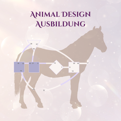 14-min Tierkommunikation Intensiv