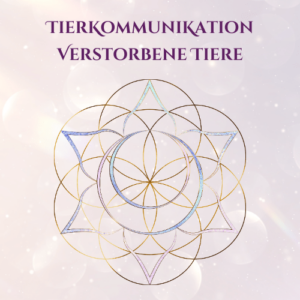 Tierkommunikation Verstorbene Tiere