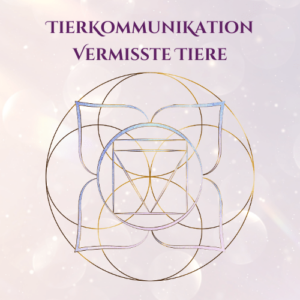 Tierkommunikation Vermisste Tiere