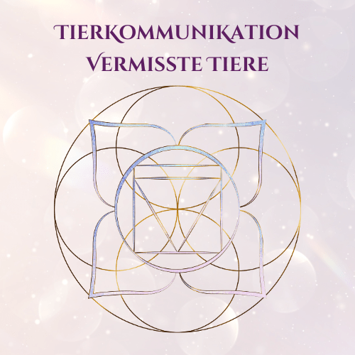 Tierkommunikation Vermisste Tiere Tierkommunikation Intensiv