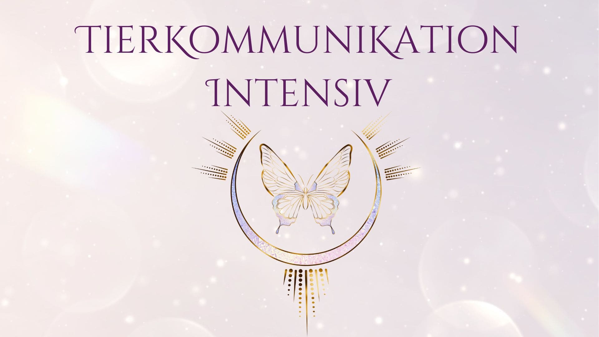 Angebote Healingtouch Tierkommunikation | Tierkommunikation und Energiearbeit | Du wünschst dir, dass dein Tier sich einfach mal alles von der Seele reden darf, was es gerade beschäftigt? angebote,Tierkommunikation Energiearbeit Animal Design Tierkommunikation Intensiv