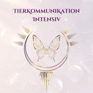 Tierkommunikation Intensiv