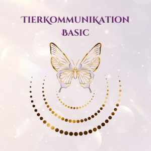 Tierkommunikation Basic